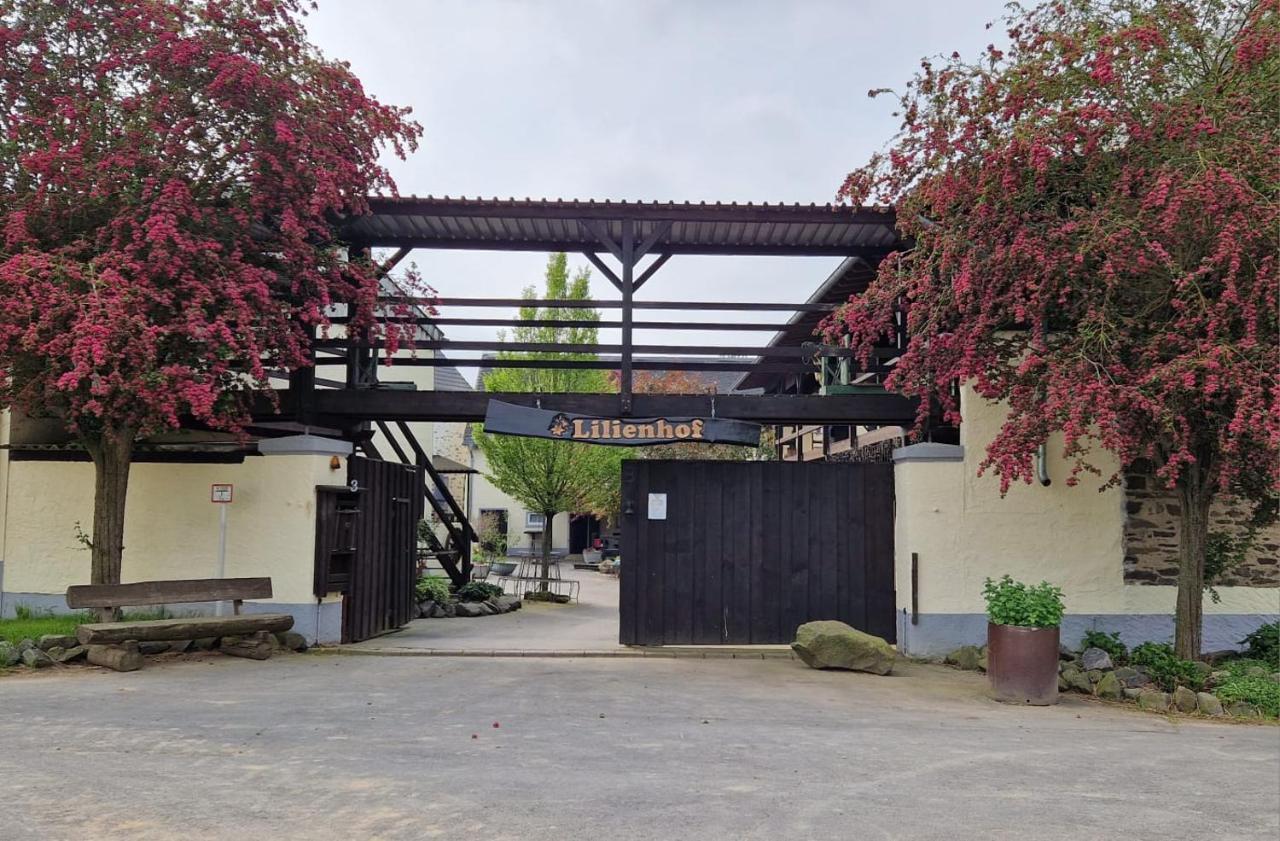 Moderne Ferienwohnung Black Beauty Auf Idyllischem Reiterhof Naehe Burg Eltz Münstermaifeld エクステリア 写真