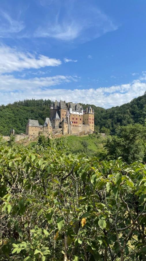 Moderne Ferienwohnung Black Beauty Auf Idyllischem Reiterhof Naehe Burg Eltz Münstermaifeld エクステリア 写真